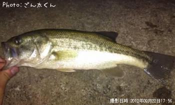 ¥Ö¥é¥Ã¥¯¥Ð¥¹