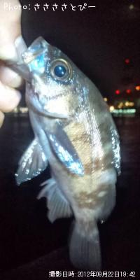 ���ꥢ��Х�