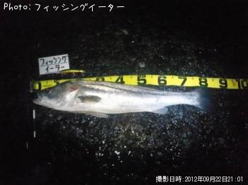 �����Х�