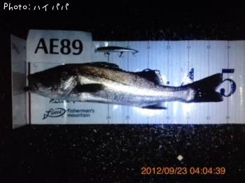 �����Х�