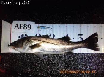 �����Х�