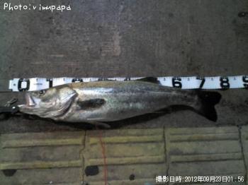 �����Х�