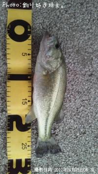 �֥�å��Х�