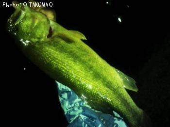 �֥�å��Х�