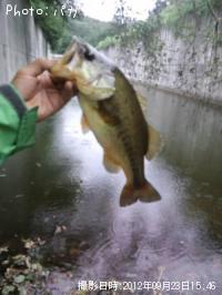 �֥�å��Х�