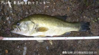 �֥�å��Х�