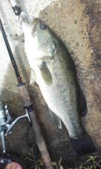 �֥�å��Х�