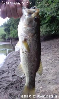 ¥Ö¥é¥Ã¥¯¥Ð¥¹