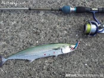 �����å���