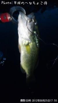 �֥�å��Х�