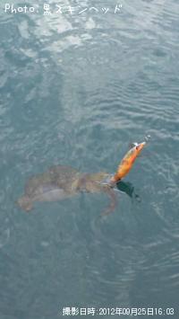 �����ꥤ��