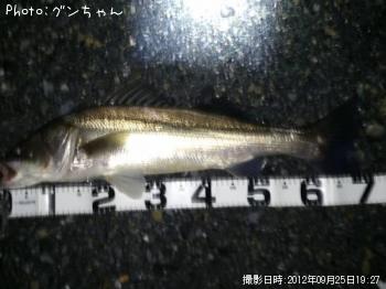 �����Х�