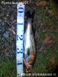 �����Х�