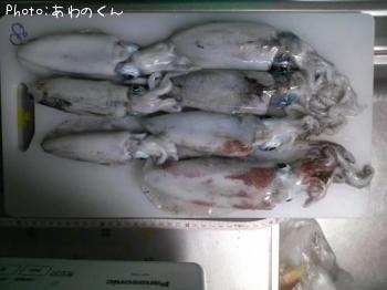 ¥¢¥ª¥ê¥¤¥«