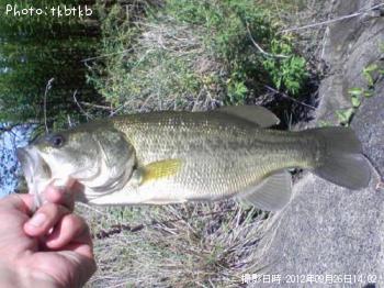 �֥�å��Х�