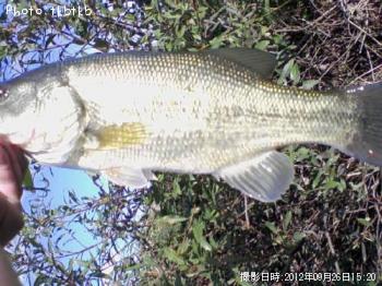 �֥�å��Х�