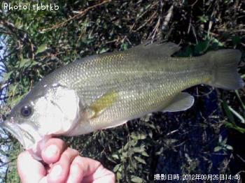 �֥�å��Х�