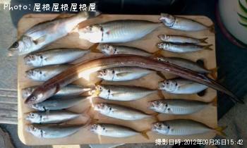 ���ʥ������������亮���ץ����������ϥ���