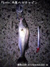 �����Х�