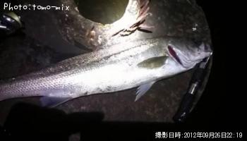 �����Х�