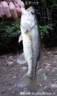 ¥Ö¥é¥Ã¥¯¥Ð¥¹