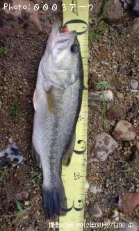 ¥Ö¥é¥Ã¥¯¥Ð¥¹