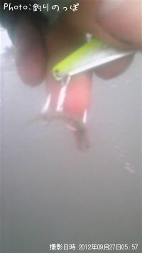 �ޥ���������