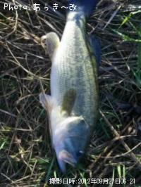 ¥Ö¥é¥Ã¥¯¥Ð¥¹