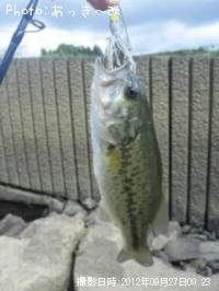 ¥Ö¥é¥Ã¥¯¥Ð¥¹