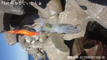 �����ꥤ��