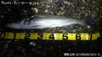 �����Х�