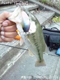 �֥�å��Х�