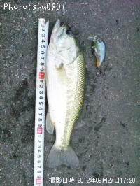 �֥�å��Х�