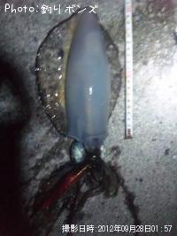 �����ꥤ��