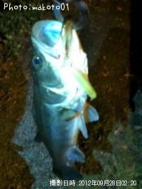 �����Х�