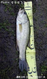 �֥�å��Х�