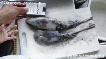 ¥¢¥ª¥ê¥¤¥«