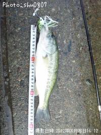 ¥Ö¥é¥Ã¥¯¥Ð¥¹