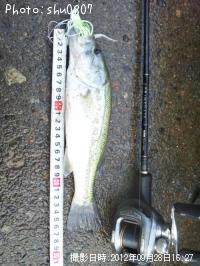 ¥Ö¥é¥Ã¥¯¥Ð¥¹