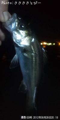 �����Х�