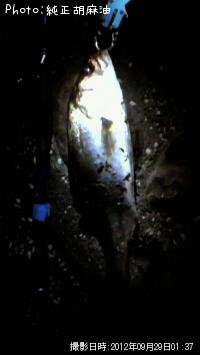 �����Х�