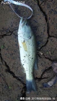 ¥Ö¥é¥Ã¥¯¥Ð¥¹