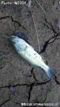 �֥�å��Х�