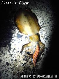 �����ꥤ��