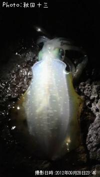 �����ꥤ��