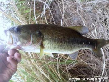 ¥Ö¥é¥Ã¥¯¥Ð¥¹