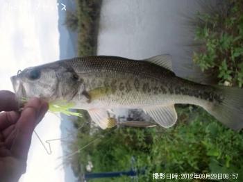 ¥Ö¥é¥Ã¥¯¥Ð¥¹