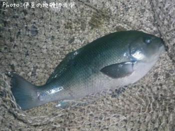 �����᥸��