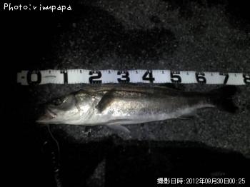 �����Х�