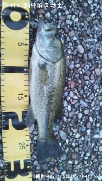 �֥�å��Х�